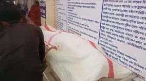 উদয়পুরে গাছ মাথায়‌ পড়ে এক ব্যাক্তির মৃত্যু উদয়পু