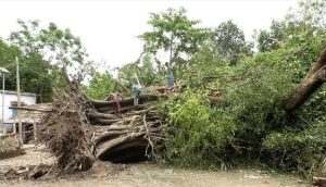 আগরতলা 