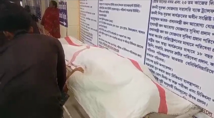 উদয়পুরে গাছ মাথায়‌ পড়ে এক ব্যাক্তির মৃত্যু উদয়পু