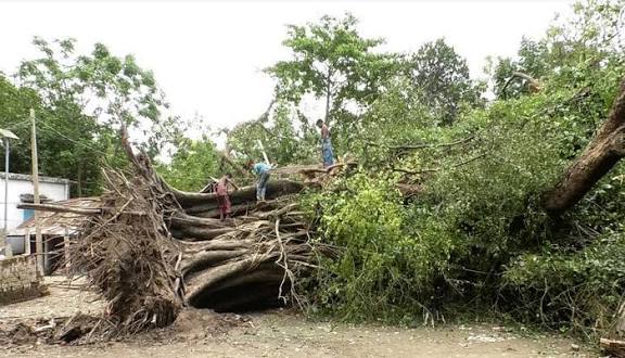 আগরতলা